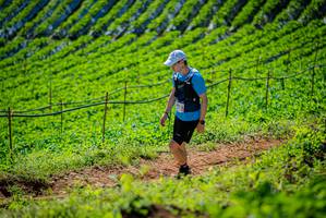 BIB: 
                            <button type="button" onclick="openModal(19162900)" class="btn btn-primary btn-sm float-right btn-popup" data-toggle="modal" data-target=".modal-high-quality">
                        <i class="fas fa-shopping-cart"></i> Add to Cart
                    </button>
                                            <button type="button" onclick="isThisMe(19162900, true)" class="btn btn-success btn-sm float-right btn-popup btn-isme hidden" data-toggle="tooltip" data-placement="bottom" title="นี่คือรูปของคุณใช่ไหม คลิกที่นี่เพื่อเอาเข้าอัลบั้ม">
                        <i class="fas fa-plus"></i> Add to album
                    </button>
                    <button type="button" onclick="isThisMe(19162900, false)" class="btn btn-warning btn-sm float-right btn-popup btn-isnotme hidden">
                        <i class="fas fa-ban"></i> Remove from album
                    </button>